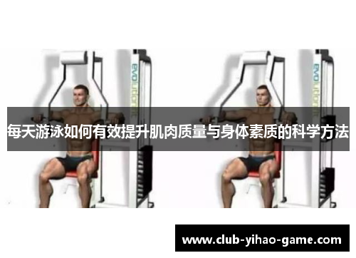 每天游泳如何有效提升肌肉质量与身体素质的科学方法