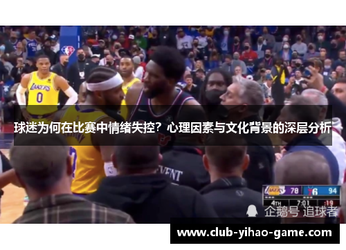 球迷为何在比赛中情绪失控？心理因素与文化背景的深层分析