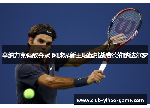 辛纳力克强敌夺冠 网球界新王崛起挑战费德勒纳达尔梦